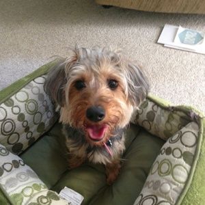 Meet your Posher, Kawana